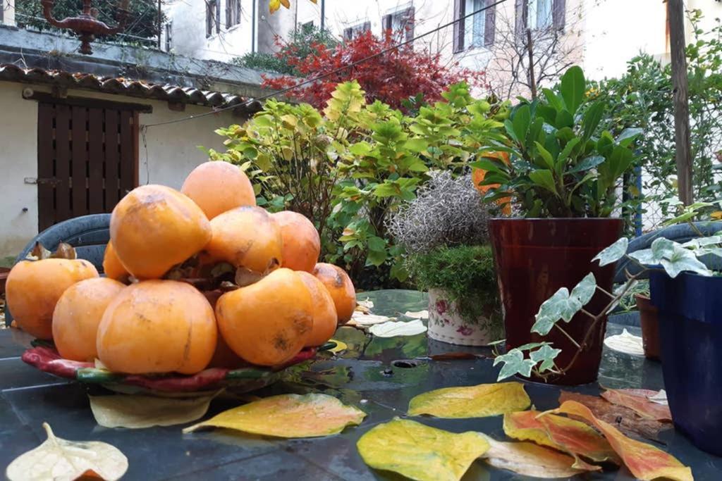 Casa Pusterla Apartment Venesia Bagian luar foto